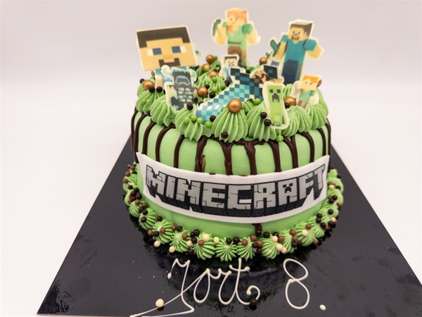 Minecraft driptaart