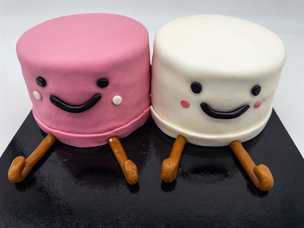 Marshmellow taart 14-16 personen